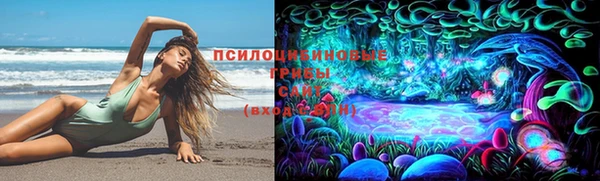 ешки Магас