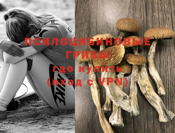 спайс Майский