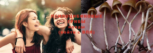 спайс Майский