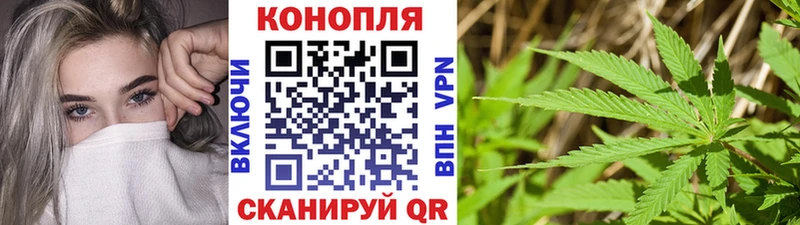 Канабис сатива  Учалы 